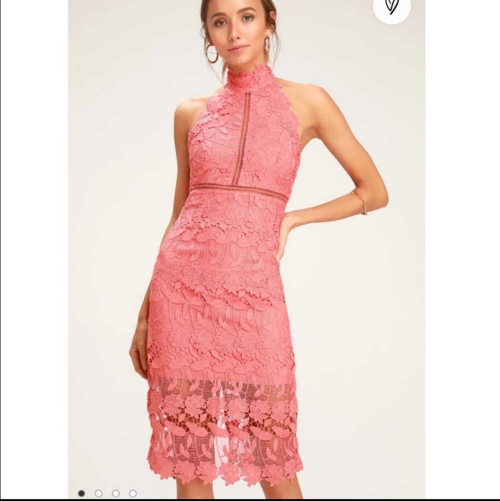 Bardot isa lace dress nwt
